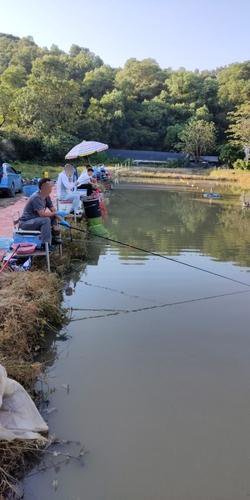 新造思贤豪乐钓鱼场钓点与钓场环境照片