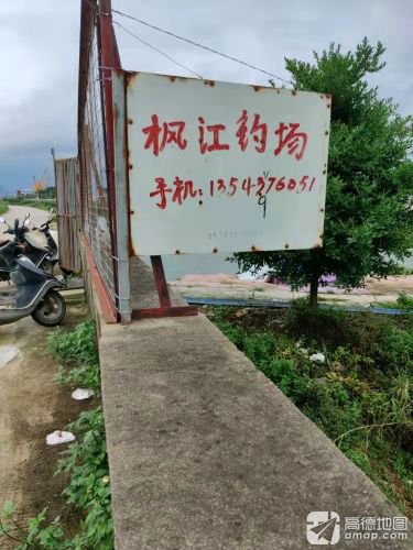 枫江钓场钓点与钓场环境照片