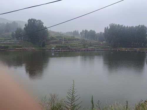 窑屋沟大物垂钓园钓点与钓场环境照片