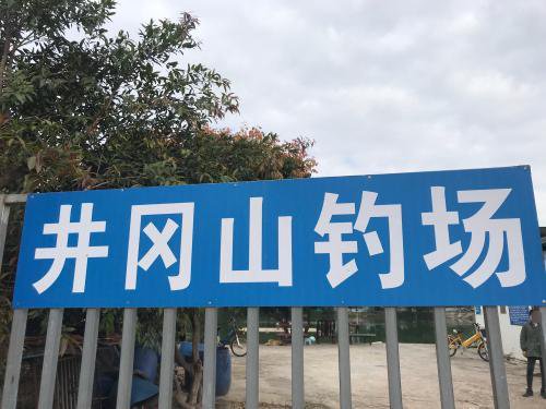 惠阳井冈山钓场钓点与钓场环境照片