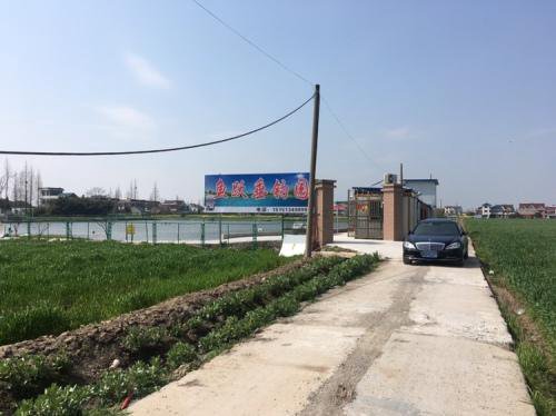 鱼跃生态垂钓园钓场环境照片