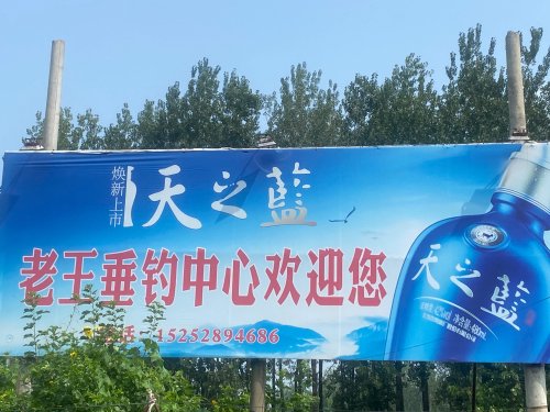 老王垂钓中心钓场环境照片