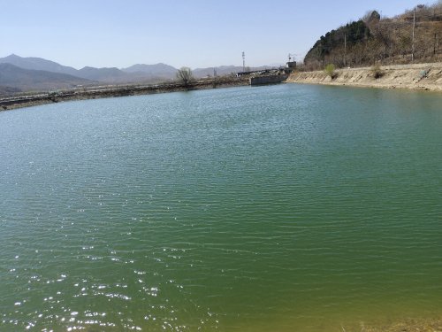 梦鱼垂钓园钓点与钓场环境照片