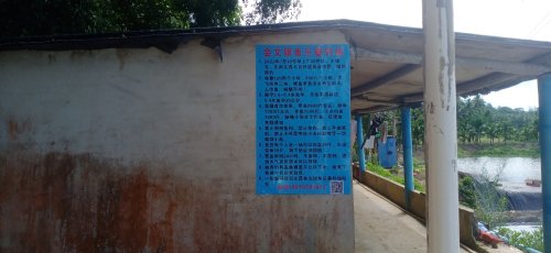 会文镇白延鱼乐垂钓场钓场环境照片