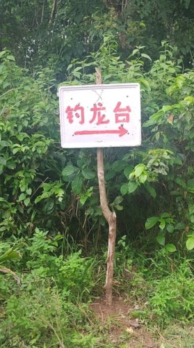 钓龙台钓场钓场环境照片