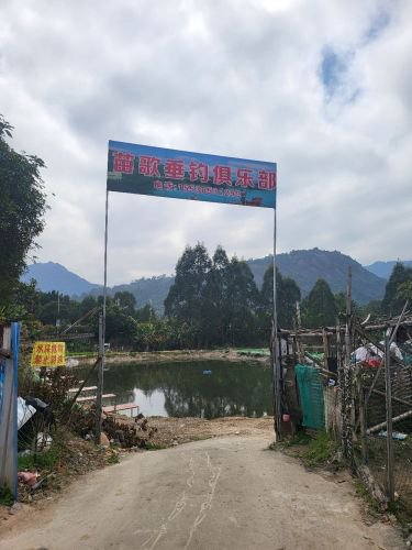 苗歌垂钓俱乐部钓场环境照片