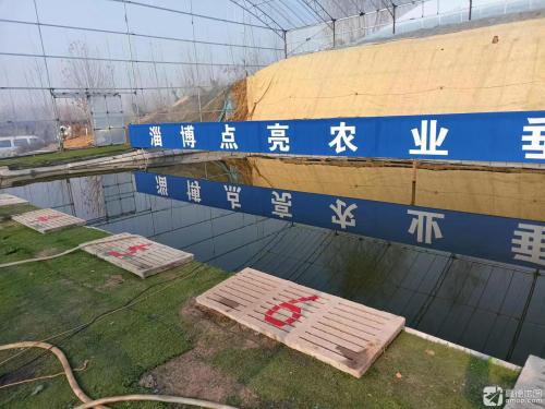 淄博点亮农业垂钓中心钓点与钓场环境照片