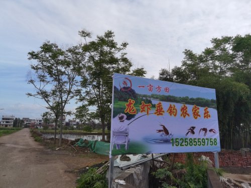 一亩方田龙虾垂钓农家乐钓点与钓场环境照片