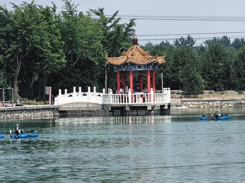 花园垂钓中心钓场环境照片