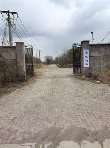 鱼悦钓场钓点与钓场环境照片