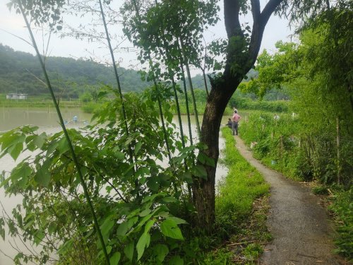 得闲钓场钓点与钓场环境照片