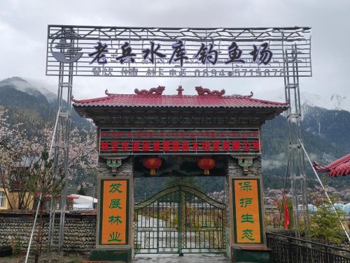 老兵水库钓鱼场钓点与钓场环境照片