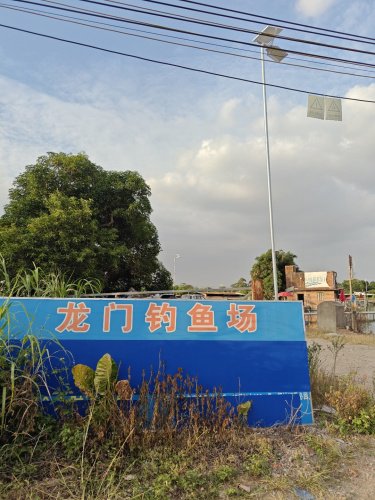 龙门钓鱼场钓点与钓场环境照片