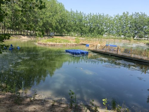 古河镇张秦村七星塘特色养殖垂钓中心钓场环境照片