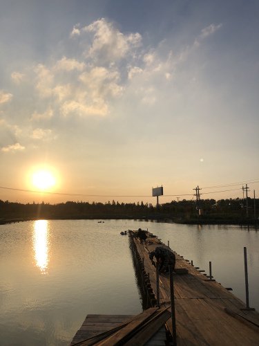 三友钓场钓场环境照片