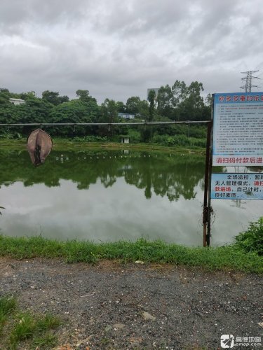 钓多多垂钓乐园钓点与钓场环境照片