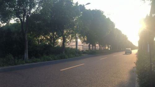 和园垂钓中心钓场环境照片