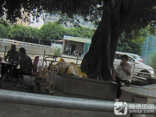 兴隆钓鱼场钓点与钓场环境照片