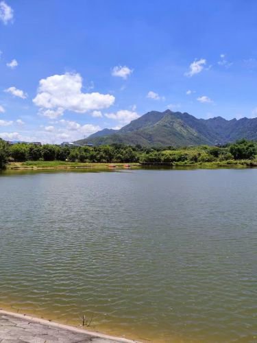 鑫水源垂钓山庄钓场环境照片