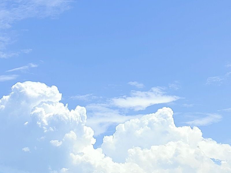 同乐钓场钓点与钓场环境照片