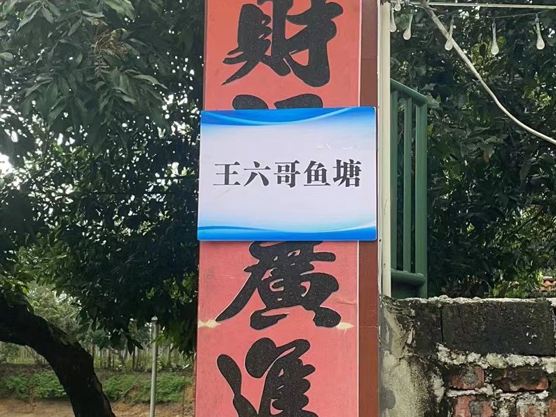王六哥鱼塘钓场环境照片