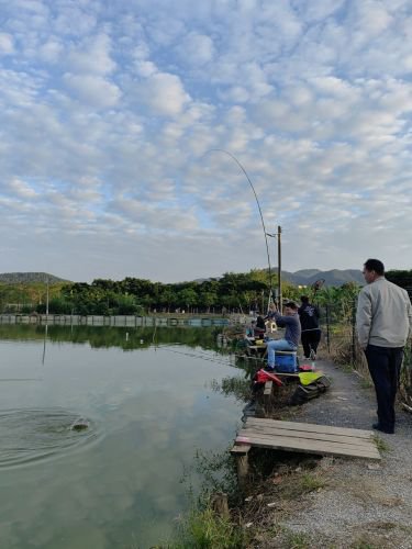 湾北钓场钓点与钓场环境照片