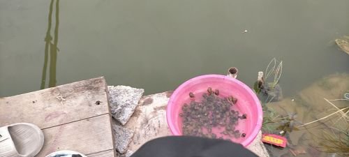 三坑钓鱼场钓点与钓场环境照片