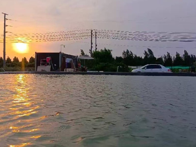 大泽鱼塘钓点与钓场环境照片