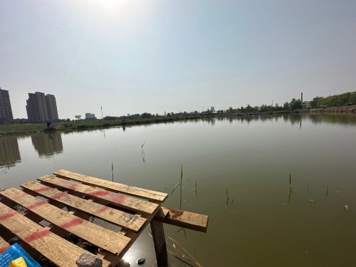胖子垂钓园钓点与钓场环境照片