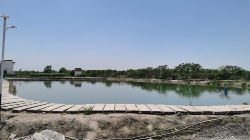 喜迎春垂钓中心钓点与钓场环境照片