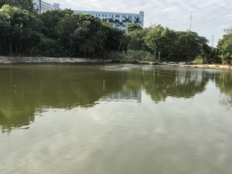 山河钓鱼场钓点与钓场环境照片
