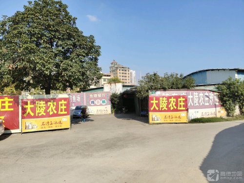 大陵农庄钓点与钓场环境照片