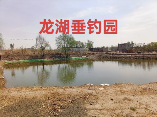 龙湖垂钓园钓场环境照片