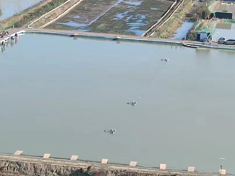 晶宏钓场钓场环境照片