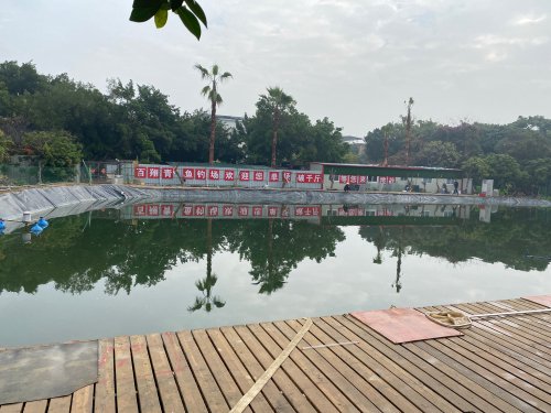 漳州百翔青鱼钓场钓场环境照片