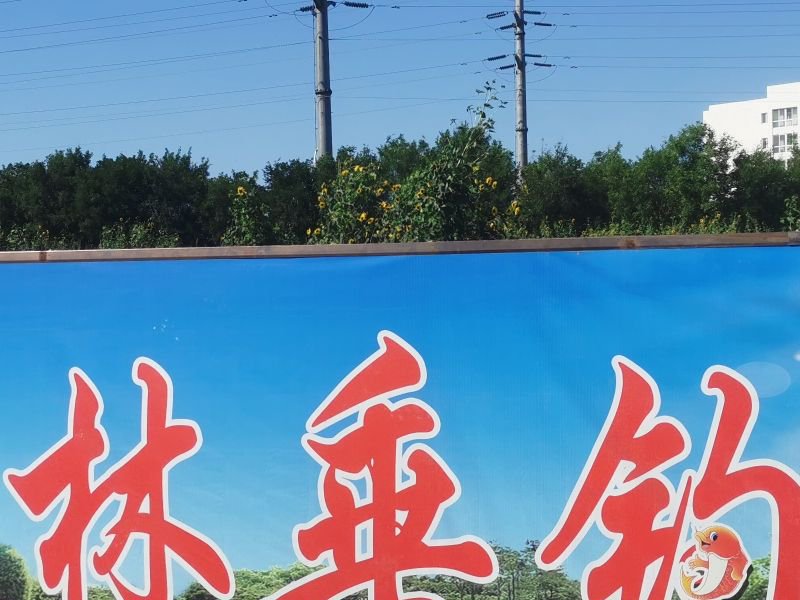 瑞福林垂钓园钓点与钓场环境照片