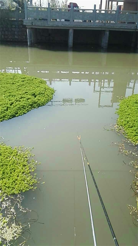 运湖河钓点与钓场环境照片