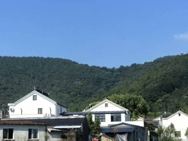 旺山垂钓农庄钓场环境照片