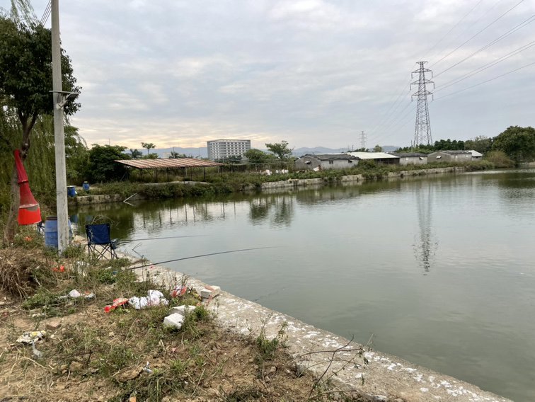 鹤联钓鱼场钓点与钓场环境照片