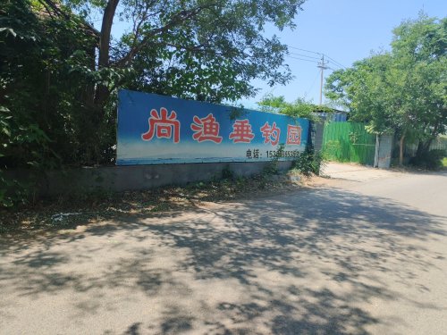 寿光尚渔垂钓园钓点与钓场环境照片