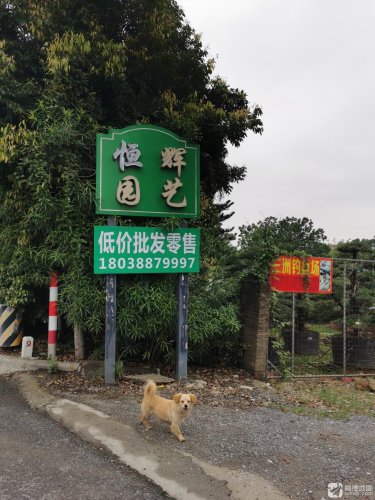 三洲钓鱼场钓点与钓场环境照片