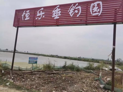 恒乐垂钓园钓点与钓场环境照片