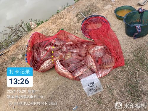 紫金县城暗坑垂钓中心钓点与钓场环境照片