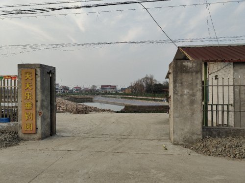 天天乐垂钓园钓场环境照片