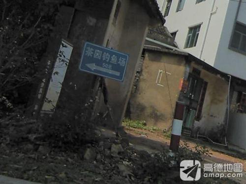 茶园钓鱼场钓点与钓场环境照片