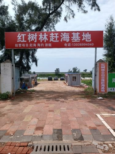 红树林日出日落赶海基地钓场环境照片