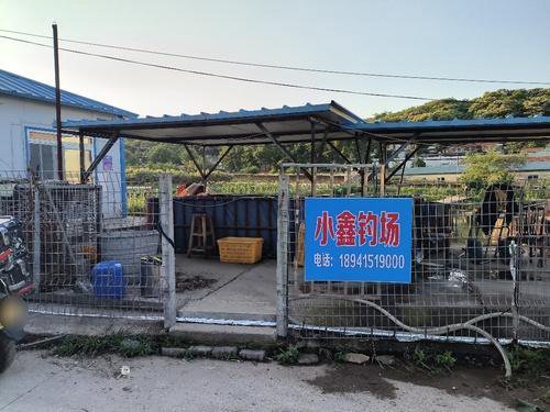 小鑫钓场钓场环境照片