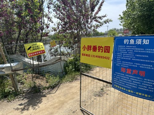 小胖垂钓园钓场环境照片