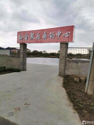孙舍聚乐垂钓中心钓场环境照片