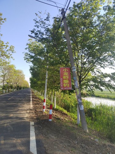 小龙虾垂钓钓场环境照片